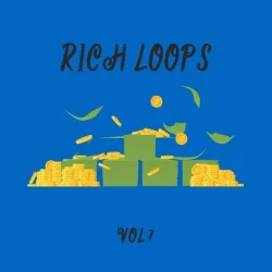 DiyMusicBiz Rich Loop Vol.7 WAV