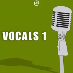 Dynasty Loops Vocals 1 WAV