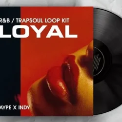 Aypebeatz LOYAL + Stems WAV