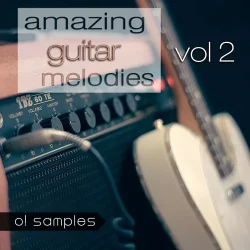 O! Samples Amazing Guitar Melodies Vol.2 WAV MIDI