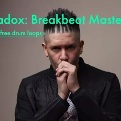 Paradox Breakbeat Mastery WAV