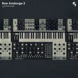 Raw Analogue Techno MULTIFORMAT