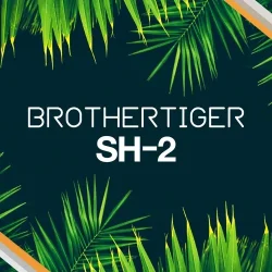 SH-2 Brothertiger v1.0.0 EXPANION