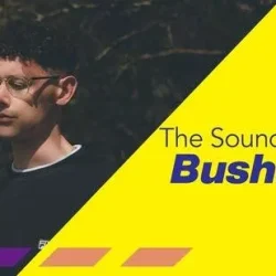 The Sound Of Bushbaby TUTORIAL