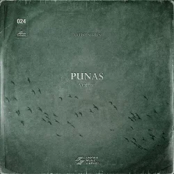 Punas Vol. 1 (Sample Pack) (Compositions & Stems) WAV