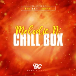 Big Citi Loops Melodic N Chill Box 1 WAV