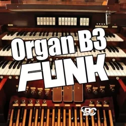 Big Citi Loops Organ B3 Funk WAV