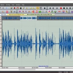 Diamond Cut Forensics10 Audio Laboratory v10.80 WIN