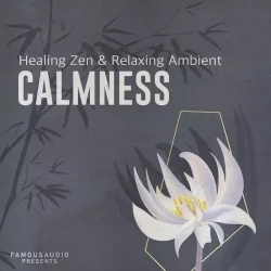 Famous Audio Calmness Healing Zen & Relaxing Ambient WAV