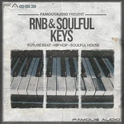 FA053 RnB & Soulful Keys WAV MIDI