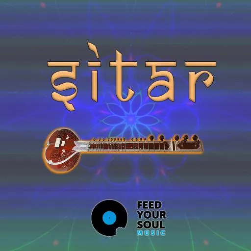 Feed Your Soul Music Sitar WAV