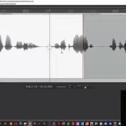 Matt Starling Audio Editing 101 TUTORIAL
