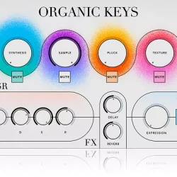 Organic Keys [UVI Falcon Expansion]