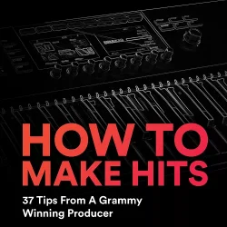 ProdSecrets 37 Secret Tips How To Make Hits PDF