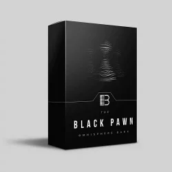 Brandon Chapa - Black Pawn (Omnisphere Bank)
