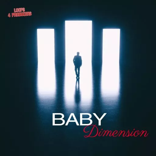 Loops 4 Producers Baby Dimension WAV