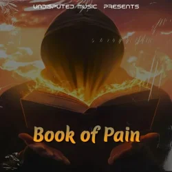 Loops 4 Producers Book Of Pain WAV