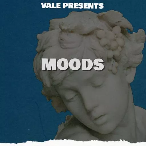 Loops 4 Producers Moods WAV