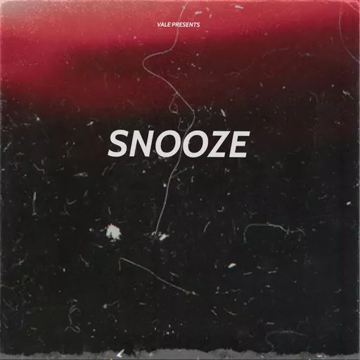 Loops 4 Producers SNOOZE WAV