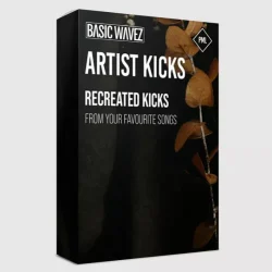 PML Artist Kicks by Bound to Divide WAV