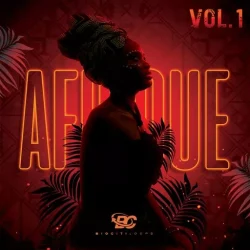 Big Citi Loops Afrique Vol 1 WAV