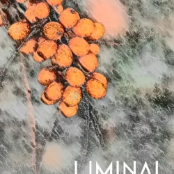 Crocus Soundware LIMINAL Chamber Strings KONTAKT