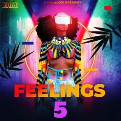 Innovative Samples Feelings RnB Vol.5 WAV