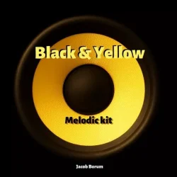 Jacob Borum Black & Yellow WAV