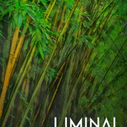 Crocus Soundware LIMINAL Winds KONTAKT