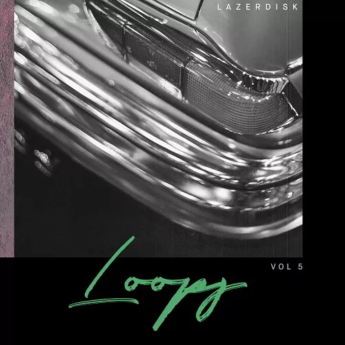 Lazerdisk Loops Vol. 5 WAV