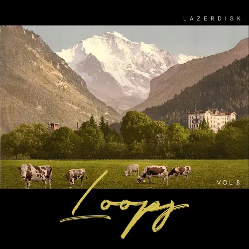 Lazerdisk Loops Vol. 8 WAV