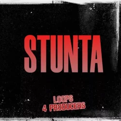 Loops 4 Producers Stunta WAV