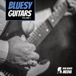 New Beard Media Bluesy Guitars Vol.1 WAV