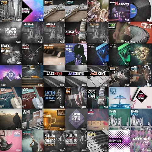 New Beard Media Mega Sample Collection 2022 Vol.2 WAV