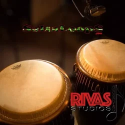 Salsa Loops Modern Salsa Loops WAV