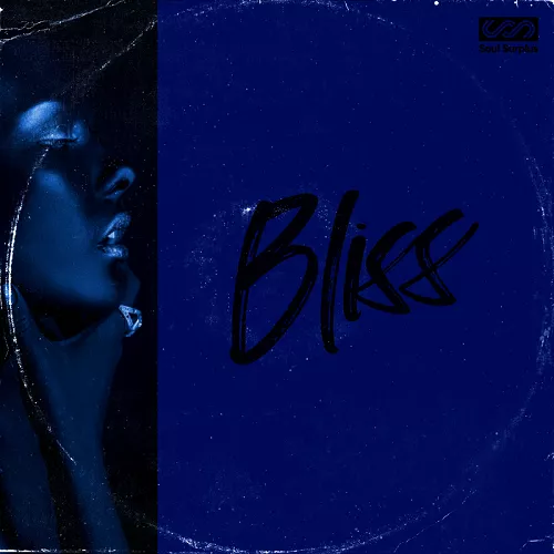Soul Surplus :: Bliss (Sample Pack) WAV