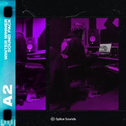 A2 Winter Winner Sound Pack WAV