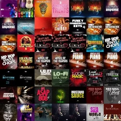 Big Citi Loops Mega Sample Collection 2022 Vol.5 WAV