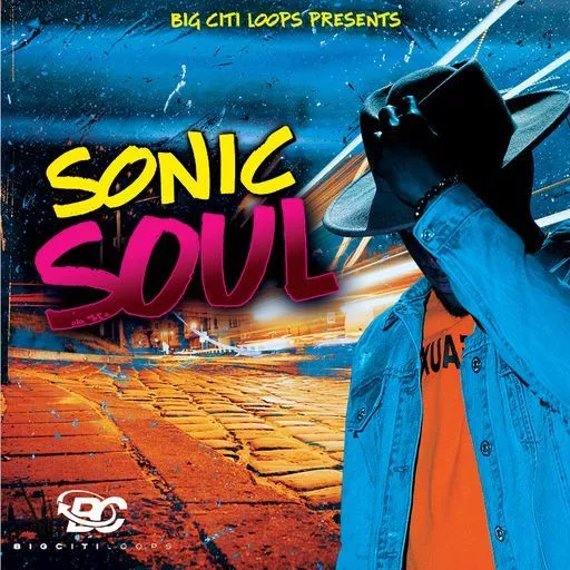 Big Citi Loops Sonic Soul 5 WAV