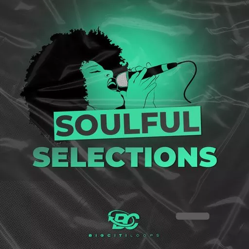 Big Citi Loops Soulful Selections WAV