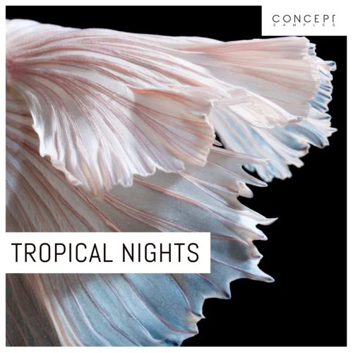 Concept Samples Tropical Nights WAV