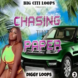 Diggy Loops Chasing That Paper 2 WAV