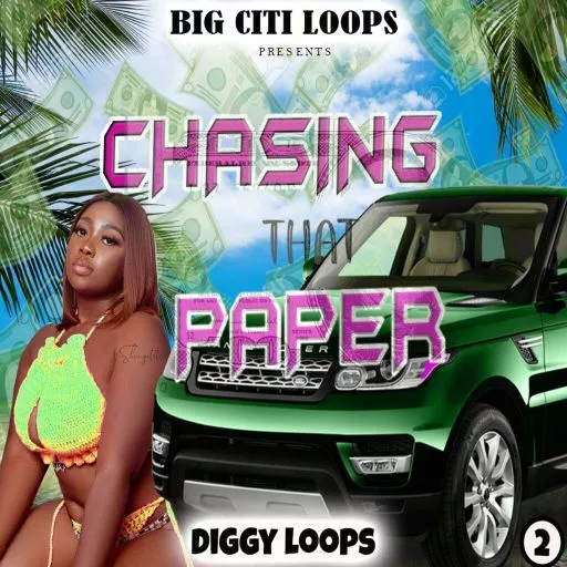 Diggy Loops Chasing That Paper 2 WAV