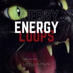 Lazerdisk Energy WAV