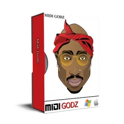 Midi Godz 2Pac Type MIDI Kit