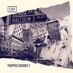 Bingoshakerz Trapped Sounds 2 WAV