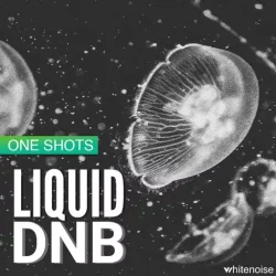 Whitenoise Records Liquid Drum Bass ONESHOTS WAV