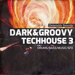 Delectable Records Dark & Groovy TechHouse 03