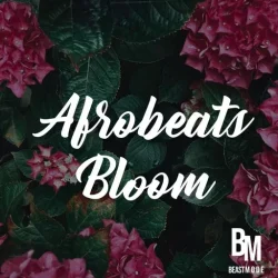 HOOKSHOW Afrobeats Bloom WAV