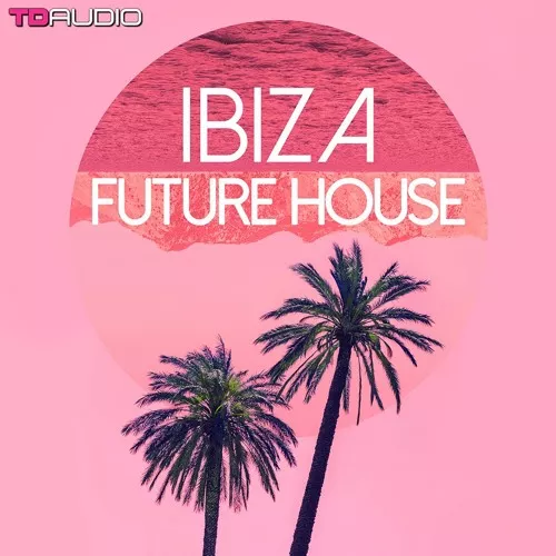 Industrial Strength TD Audio Ibiza Future House WAV